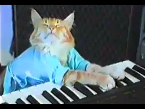 The original Keyboard Cat preserved in the Bureau of Internet Culture collection
