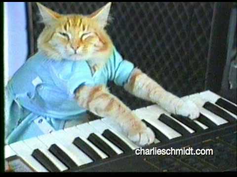 Charlie Schmidt in the official Keyboard Cat behind-the-scenes video